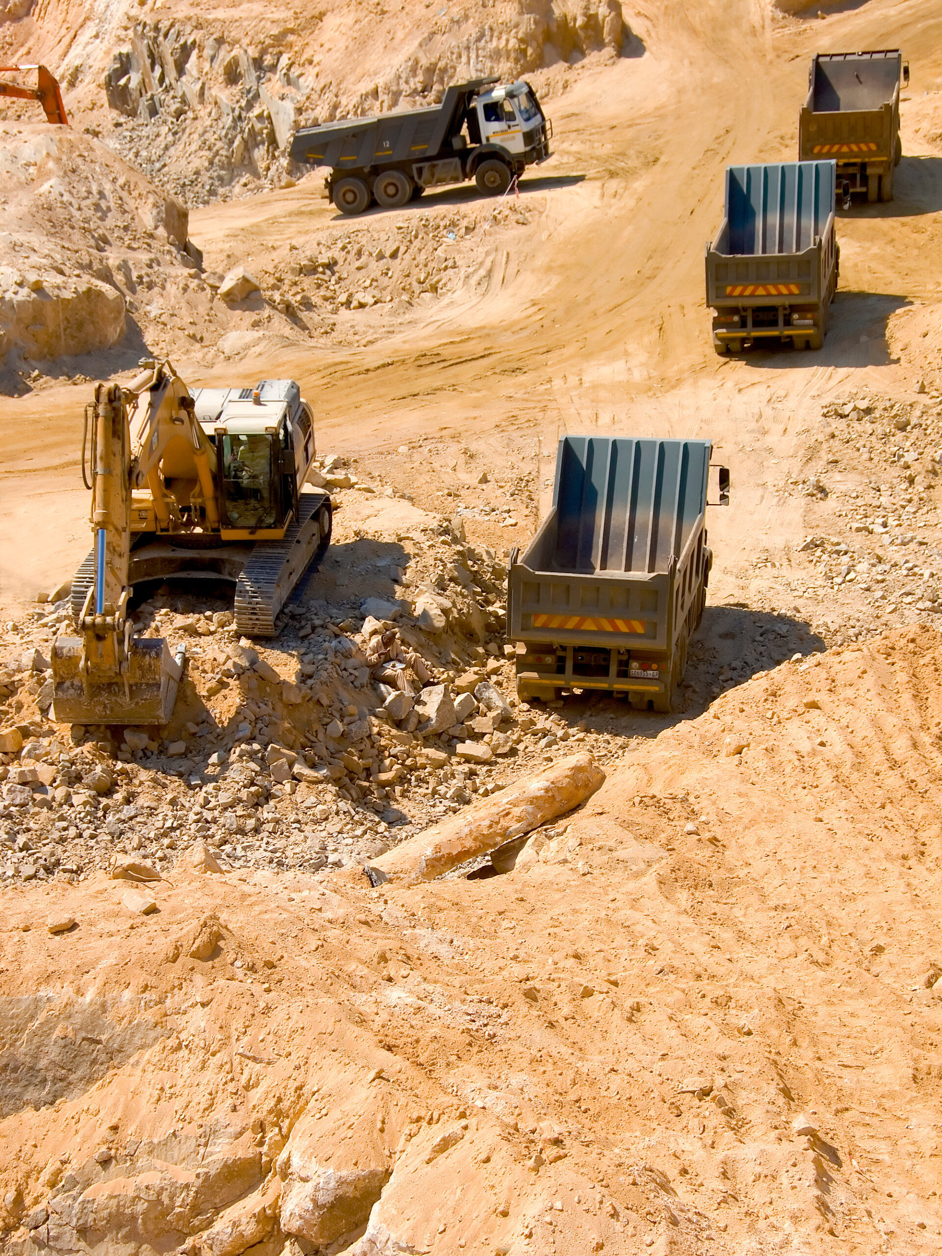 Flotte automobile - l'avenue du Patrimoine